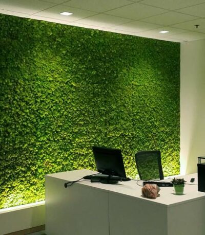 01 moss 1