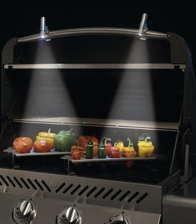 LUCE LED 1