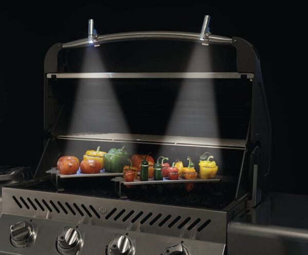 LUCE LED 1
