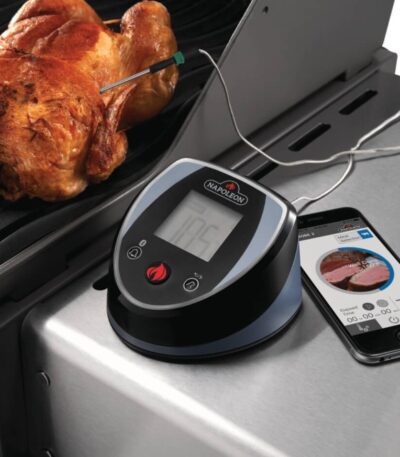 TERMOMETRO BLUETOOTH® ACCU PROBE™ 1